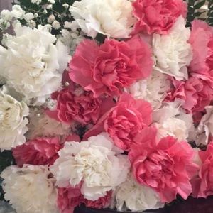 Meet your Posher, Janet